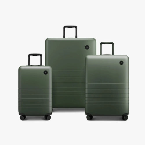 Carry-On and Check-In Set